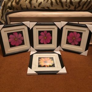 🐚 4 NEW Flower Frames! 3 pink flowers & 1 yellow